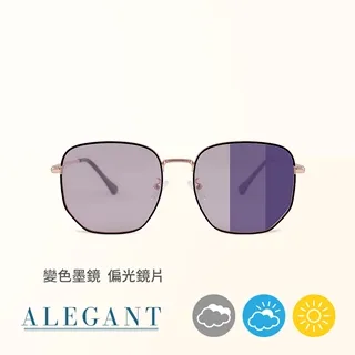 【ALEGANT】古橙棕韓系時尚幾何貓眼方框墨鏡/UV400太陽眼鏡 歷史價格詳細信息