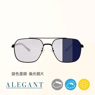 【ALEGANT】飛官造型消光黑寶麗來偏光墨鏡/UV400太陽眼鏡 歷史價格詳細信息
