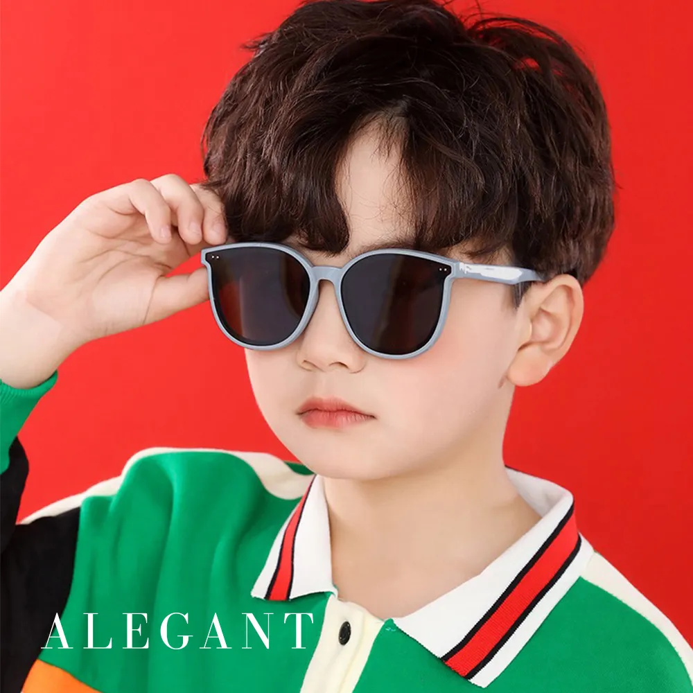 【ALEGANT】曠旅時尚飛官寶麗來偏光墨鏡/UV400太陽眼鏡 歷史價格詳細信息