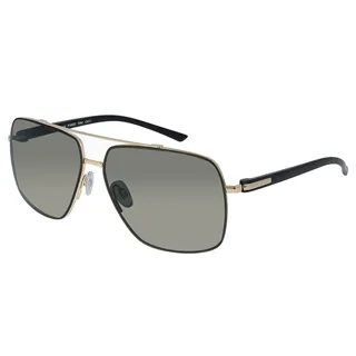 【INVU】瑞士大方框偏光太陽眼鏡(金)T1900B 歷史價格詳細信息