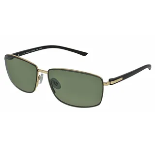 【INVU】瑞士大方框偏光太陽眼鏡(金)T1900B 歷史價格詳細信息