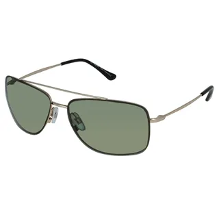 【INVU】瑞士完美視覺小臉偏光太陽眼鏡(銀) P1010A 歷史價格詳細信息