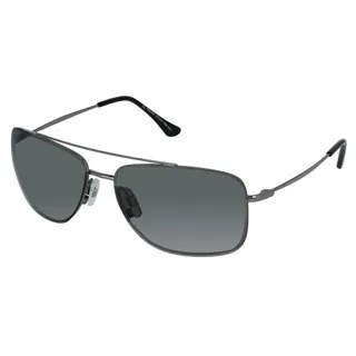 【INVU】瑞士完美視覺小臉偏光太陽眼鏡(銀) P1010A 歷史價格詳細信息