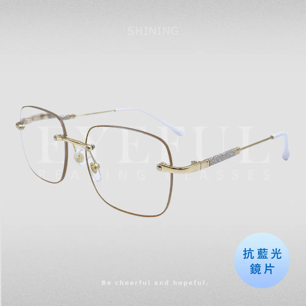 EYEFUL 濾藍光老花眼鏡 女款圓框大鏡片 舒適 耐用 古典優雅高質感 R3099 歷史價格詳細信息
