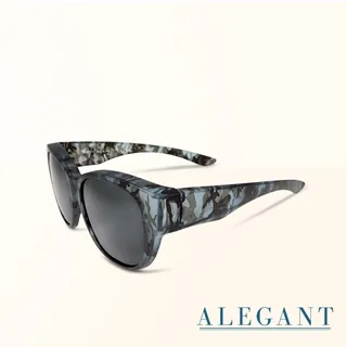 【ALEGANT】冰島灰鋁鎂合金夾式結構寶麗來偏光太陽眼鏡/UV400墨鏡/車用夾片/外掛夾式鏡片 歷史價格詳細信息