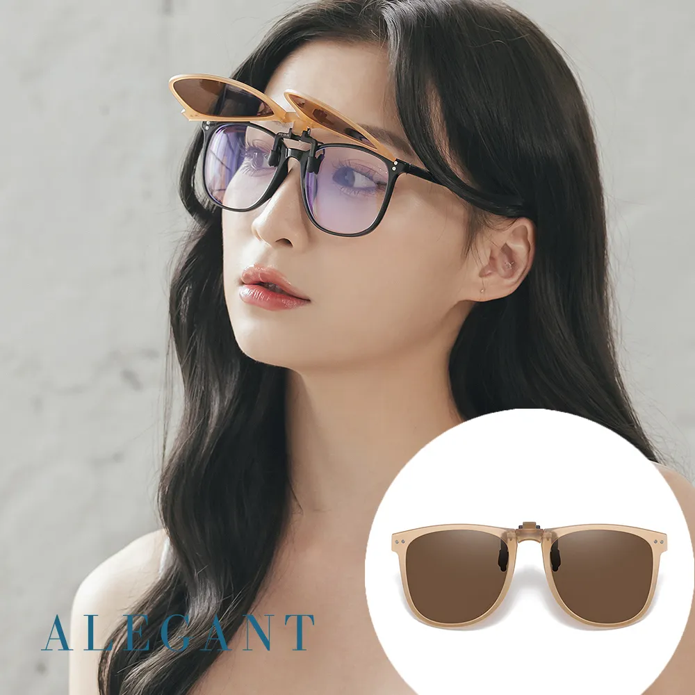 【ALEGANT】奶霧杏花棕時尚大框可掀折疊夾式寶麗來偏光太陽眼鏡/UV400墨鏡/上掀夾片/外掛鏡片/前掛眼鏡 歷史價格詳細信息