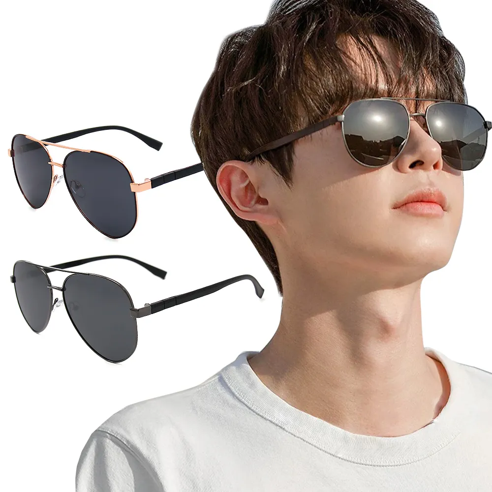 【ALEGANT】飛官造型消光黑寶麗來偏光墨鏡/UV400太陽眼鏡 歷史價格詳細信息