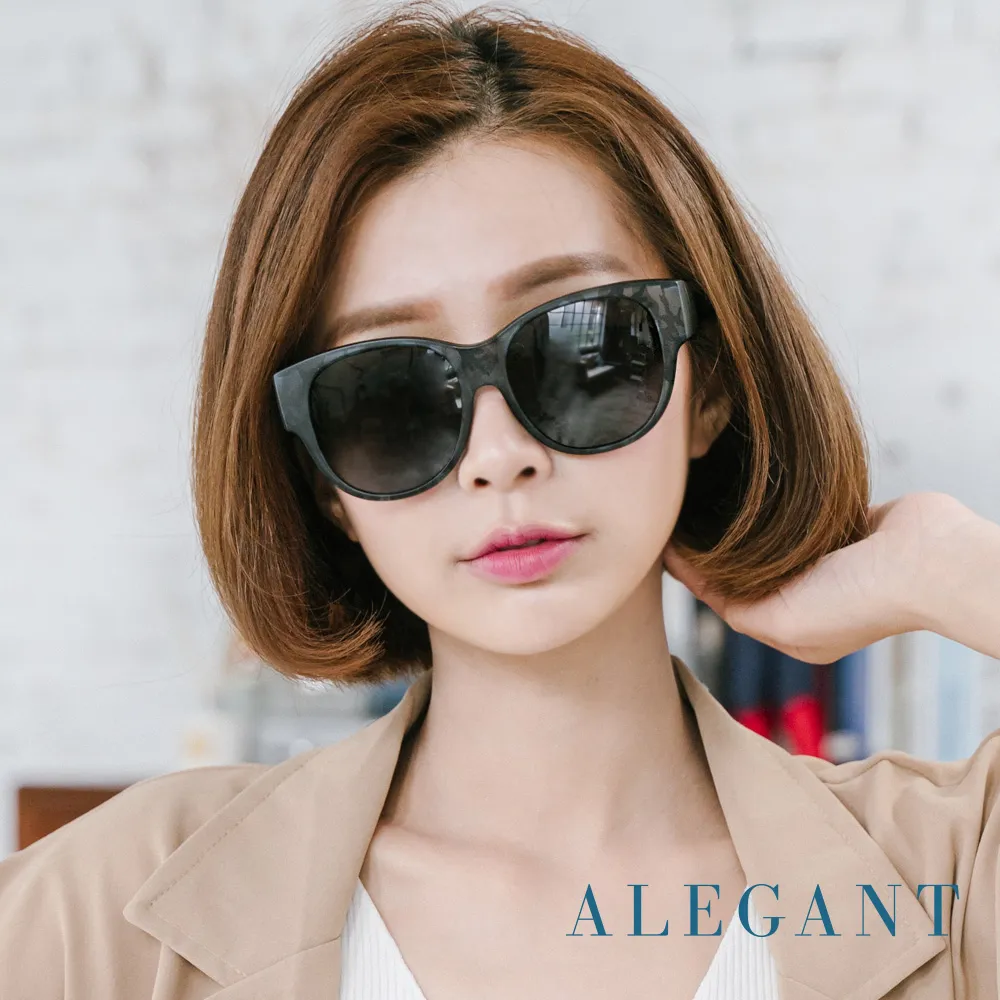 【ALEGANT】冰島灰鋁鎂合金夾式結構寶麗來偏光太陽眼鏡/UV400墨鏡/車用夾片/外掛夾式鏡片 歷史價格詳細信息