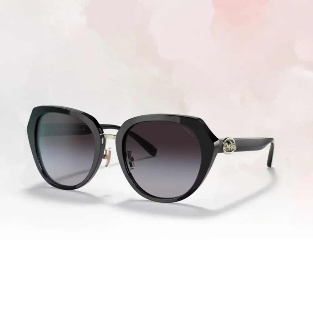 【COACH】時尚大鏡框金屬太陽眼鏡(HC7145BD-900513) 歷史價格詳細信息