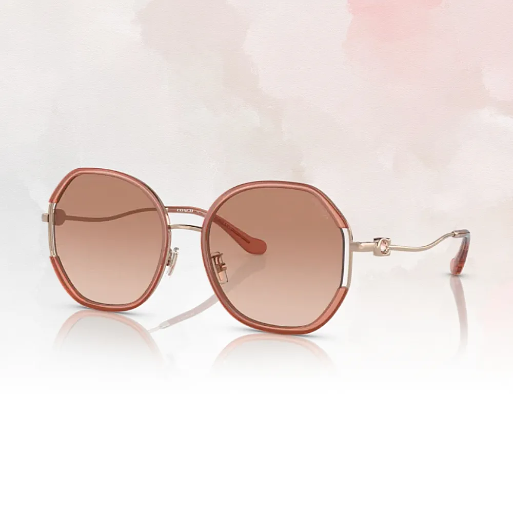 【COACH】時尚大鏡框金屬太陽眼鏡(HC7145BD-900513) 歷史價格詳細信息