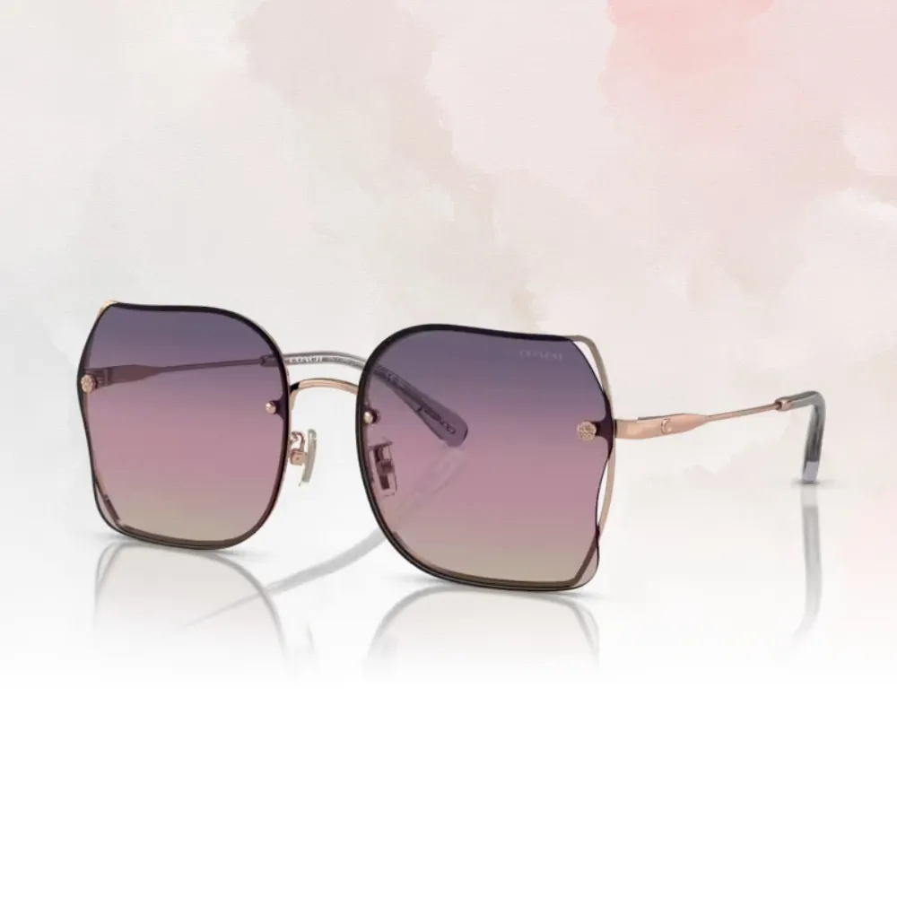 【COACH】時尚大鏡框金屬太陽眼鏡(HC7145BD-900513) 歷史價格詳細信息