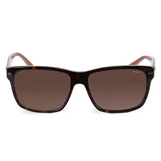 POLICE 義大利 質感霧面框造型太陽眼鏡 / 深咖POS1859-AQHP 歷史價格詳細信息