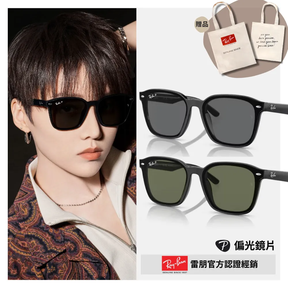 【RayBan】雷朋 偏光太陽眼鏡 RB4392D 601/9A 66mm 黑框/綠色鏡片 方框墨鏡 膠框太陽眼鏡 歷史價格詳細信息