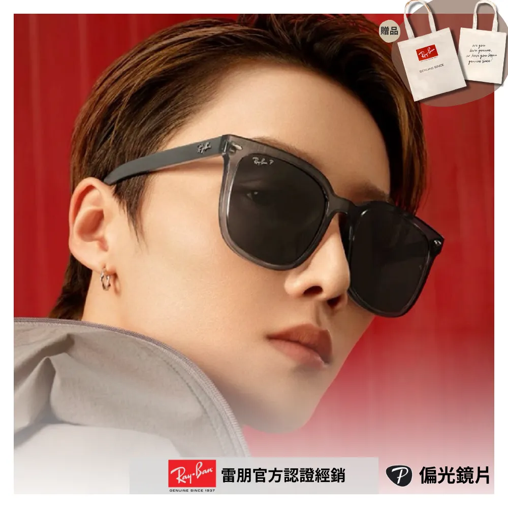 【RayBan 雷朋】膠框偏光太陽眼鏡(RB4391D-601/9A、RB4391D-601/81 65mm 偏光鏡片) 歷史價格詳細信息