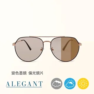 【ALEGANT】韓風私服穿搭輕量典匠銀橢圓細框光學記憶鏡腳UV400濾藍光眼鏡(輕量質感設計網紅話題款) 歷史價格詳細信息