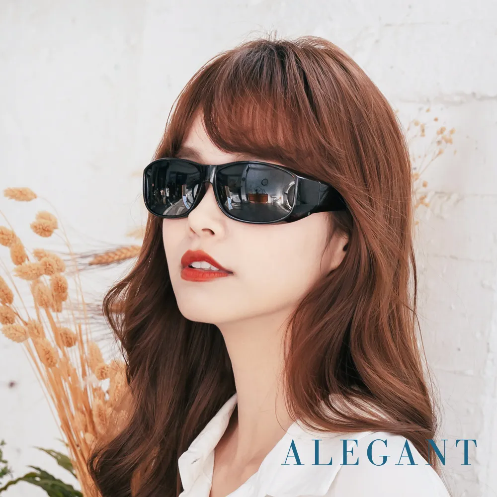 【ALEGANT】低調冰狼灰豹紋圓框全罩式寶麗來偏光墨鏡/外掛式UV400太陽眼鏡 歷史價格詳細信息