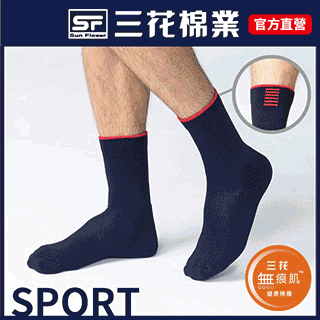 三花無痕肌動感線條休閒襪(6雙組) 歷史價格詳細信息