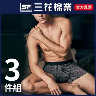 三花 內褲 (3件組) 四角褲 平口褲 五片式平口褲 針織平口褲 男內褲 歷史價格詳細信息