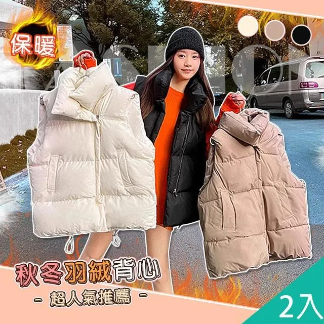 【藻土屋】2入 羽絲絨SPA分區按摩舒適枕-C 歷史價格詳細信息