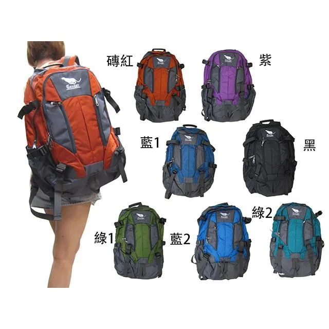 後背包超大容量可A4夾主袋+外袋共五層腰胸扣附雨罩 歷史價格詳細信息