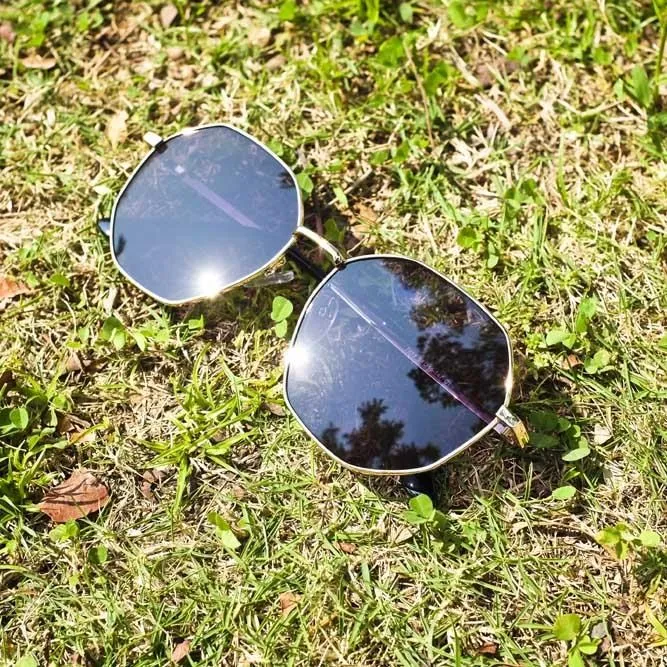 2is AdenC 太陽眼鏡│多角形框│咖啡色│抗UV400 歷史價格詳細信息