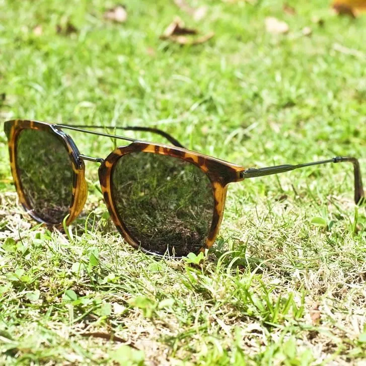 圓偏光片/雙機線偏振片偏正片3D影院投影偏光玻璃鏡片12/15/20CM 歷史價格詳細信息