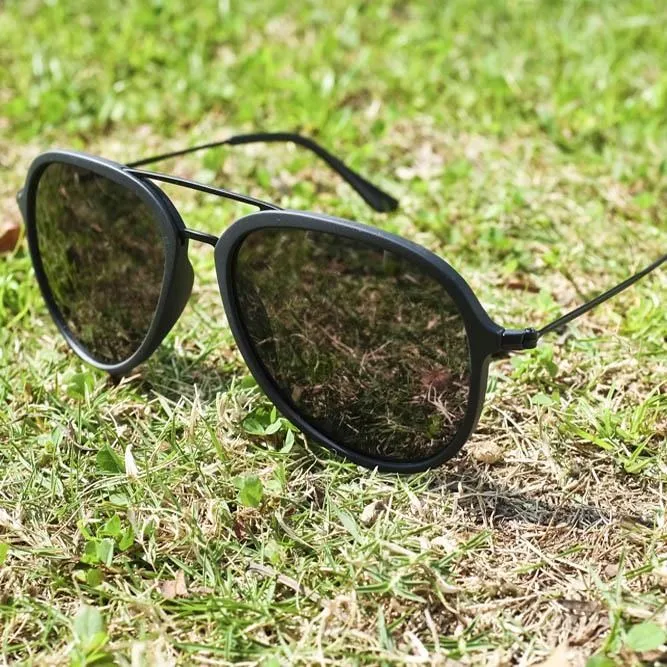 2is BexD 太陽眼鏡 偏光│飛行員大框形│黑色│抗UV400 歷史價格詳細信息