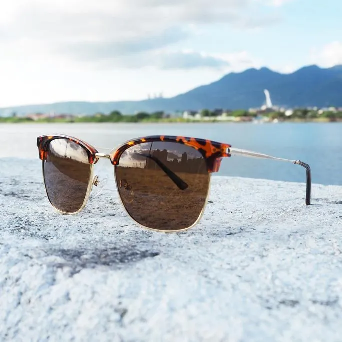 Menaz CS241 低領男襪吸汗,彈力,基礎色彩易搭配 歷史價格詳細信息