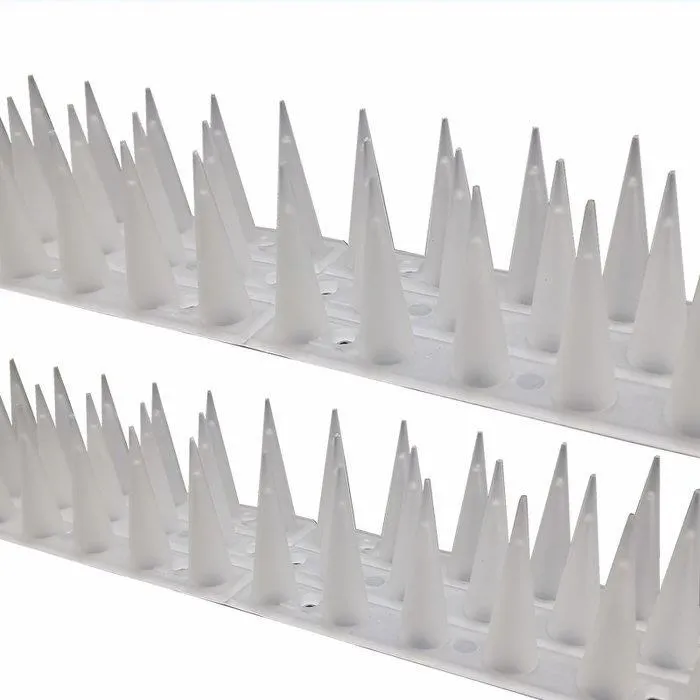 N1857 2009臺灣詩選 主編陳義芝 二魚文化 2010 歷史價格詳細信息