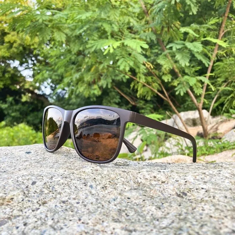 2is FynnC 太陽眼鏡 偏光│輕量方框│咖啡色│抗UV400 歷史價格詳細信息