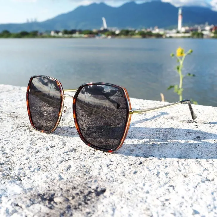 2is CassiD 太陽眼鏡 偏光│大框│黑色│抗UV400 歷史價格詳細信息