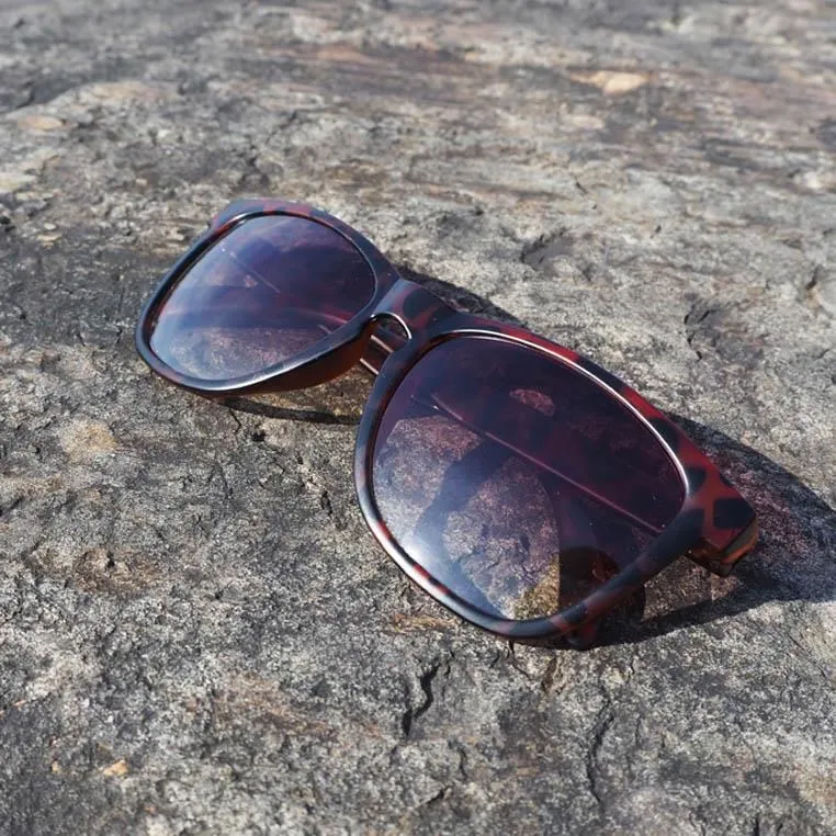 2is AmberD 太陽眼鏡│玳瑁色│黑色漸層鏡片│UV400 歷史價格詳細信息