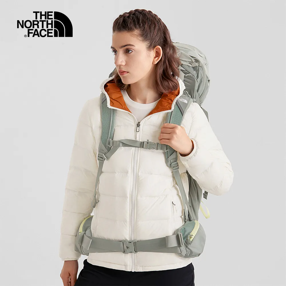 The North Face北面女款白色漸層LOGO印花短袖T恤｜7WERFN4 歷史價格詳細信息