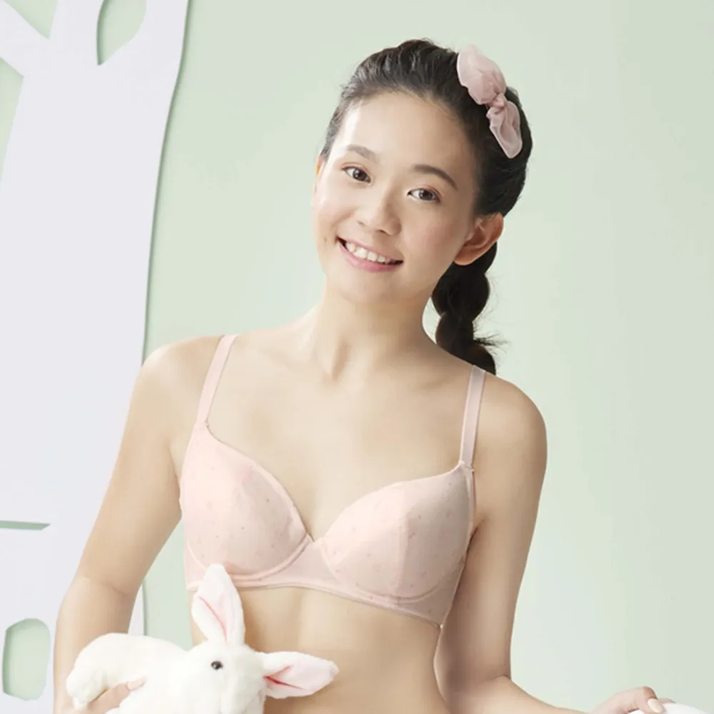 嬪婷-學生系列-甲殼素 AA70-85罩杯第二階段內衣(兔兔粉) BB1605P8 歷史價格詳細信息