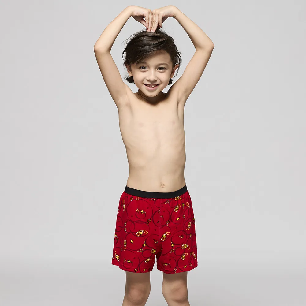 DADADO-平安御守 110-130男童內褲(紅) 品牌推薦-舒適寬鬆-GCQ309RS 歷史價格詳細信息