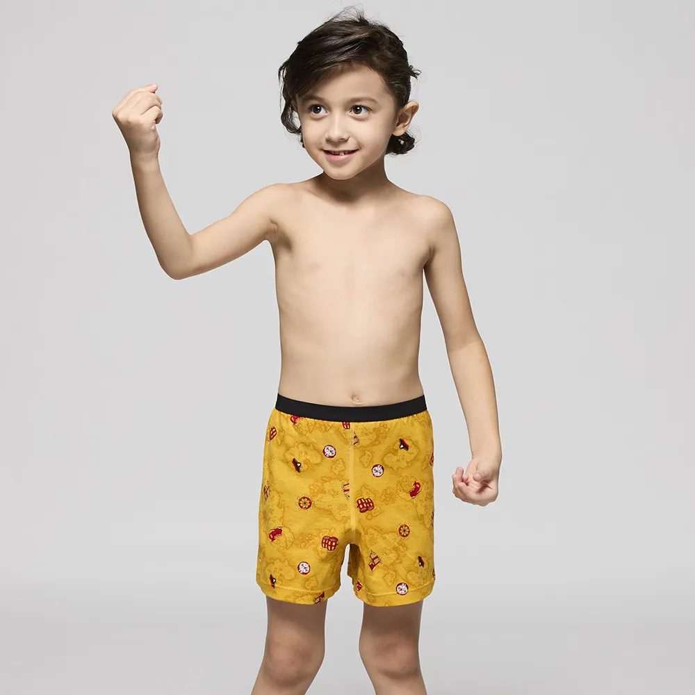 DADADO-航海尋寶 M-3L印花四角男內褲(紫) 天然絲光棉-吸濕排汗-GHQ310PU 歷史價格詳細信息