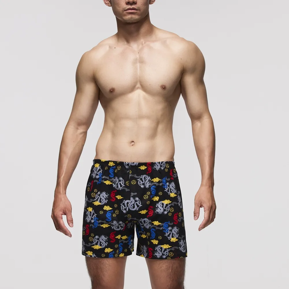 DADADO-祥龍獻瑞 140-160男童內褲(紫) 品牌推薦-舒適寬鬆-GCQ407PU 歷史價格詳細信息