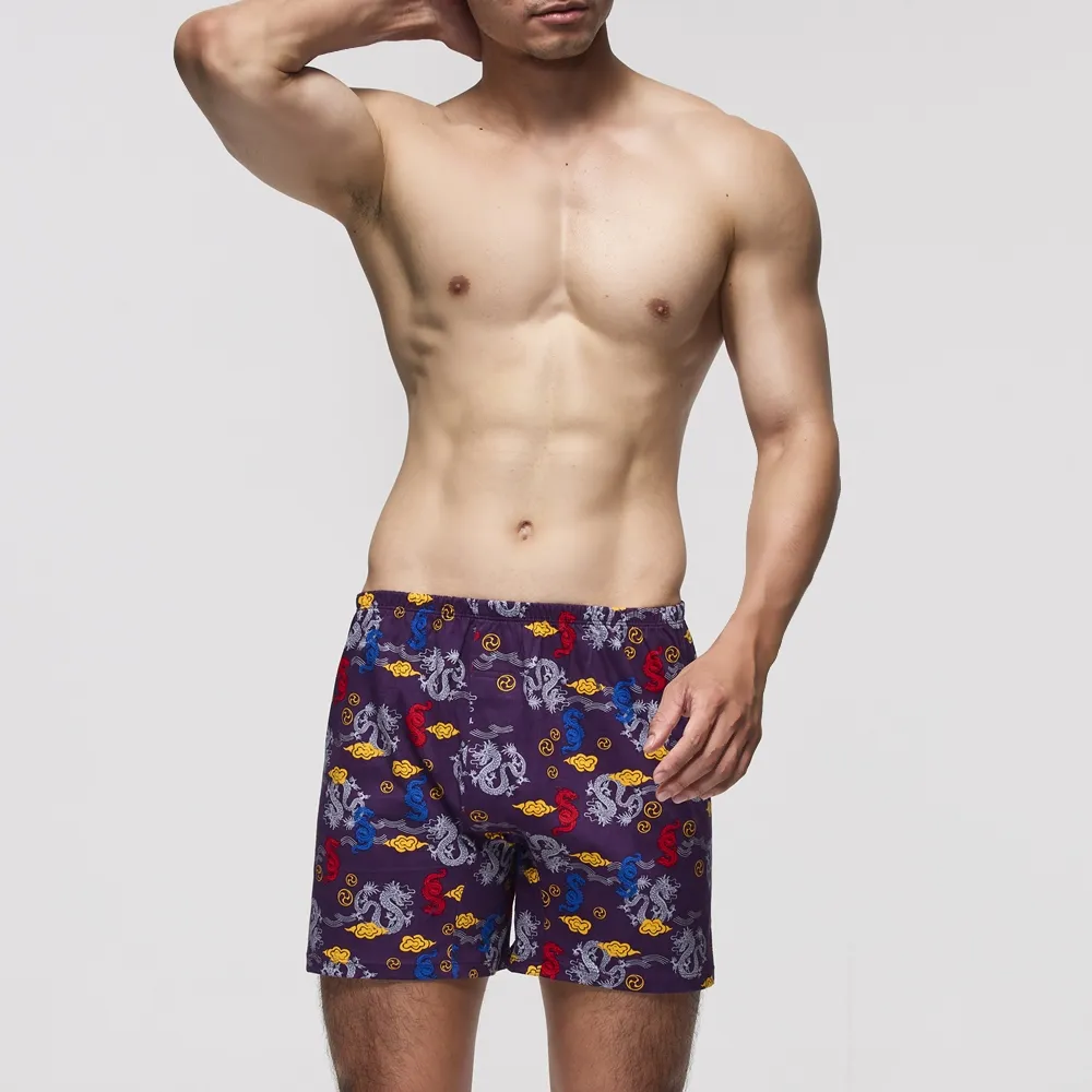 DADADO-祥龍獻瑞 140-160男童內褲(紫) 品牌推薦-舒適寬鬆-GCQ407PU 歷史價格詳細信息