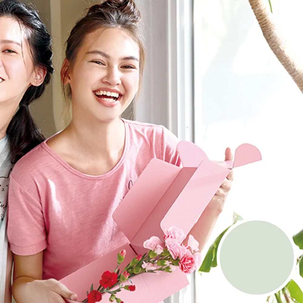 【綠家居】浩爾 時尚皮革單人座沙發(四色可選) 歷史價格詳細信息