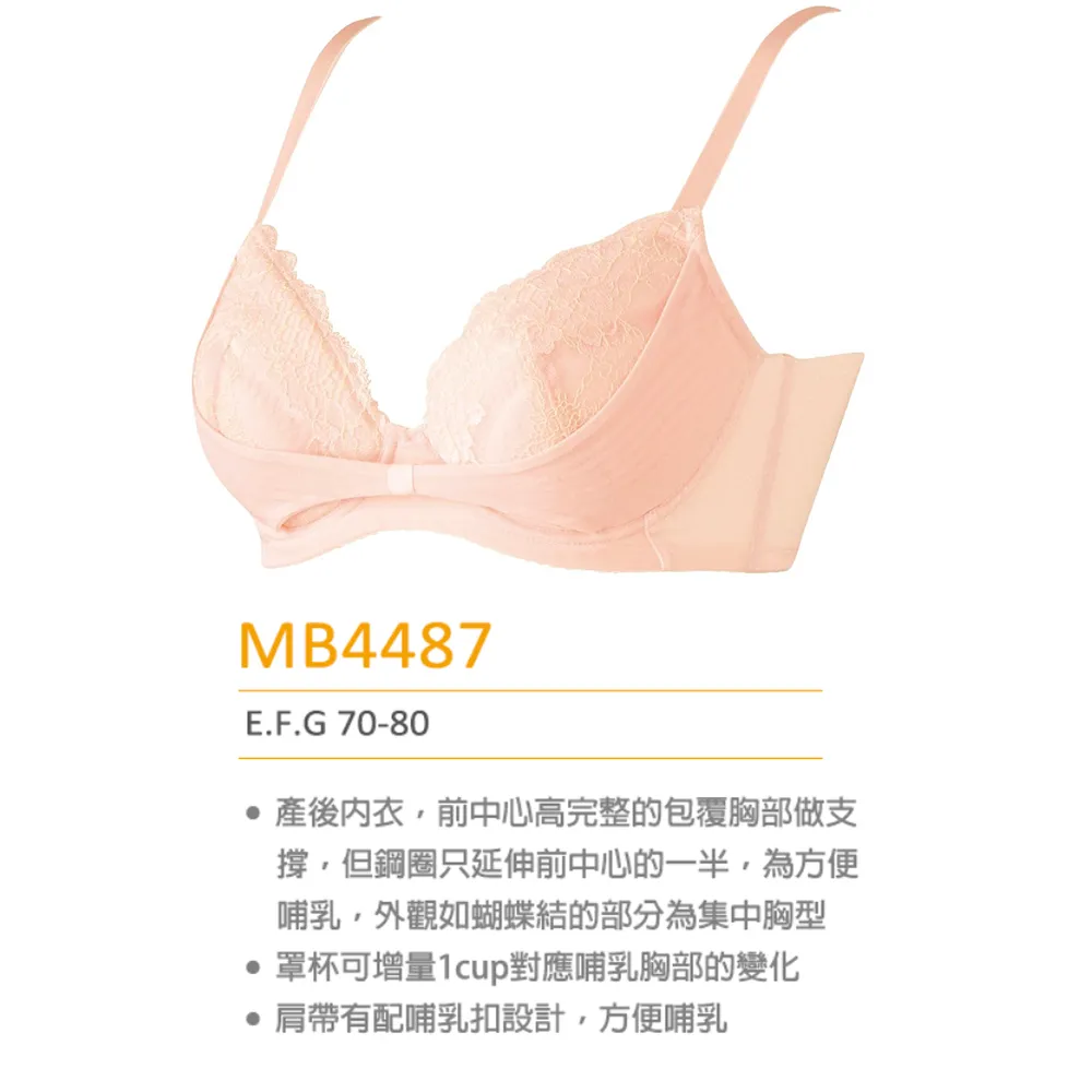 【寶貝媽咪】產後 G-I罩杯內衣 體溫順形變化胸罩 MB4655BL(黑) 歷史價格詳細信息