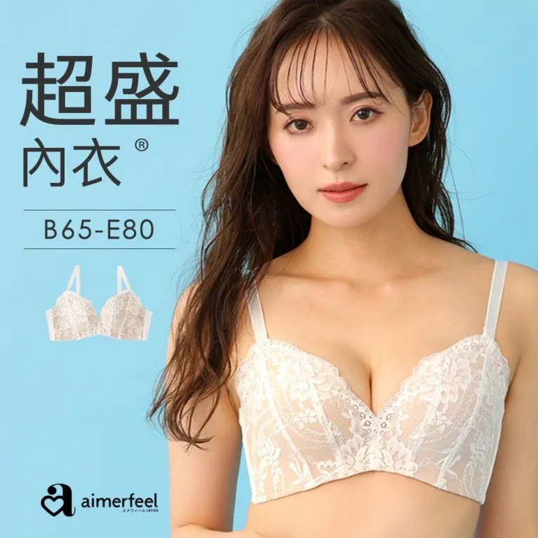aimerfeel-[單品內衣]全蕾絲超盛內衣-銀灰色-1101313-SG 歷史價格詳細信息