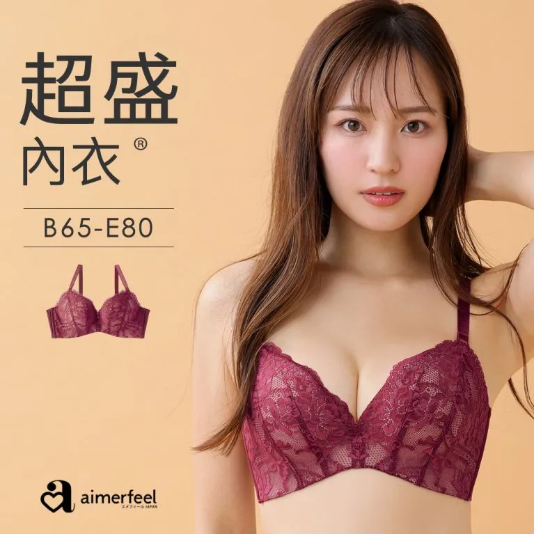 aimerfeel-[單品內衣]全蕾絲超盛內衣-銀灰色-1101313-SG 歷史價格詳細信息