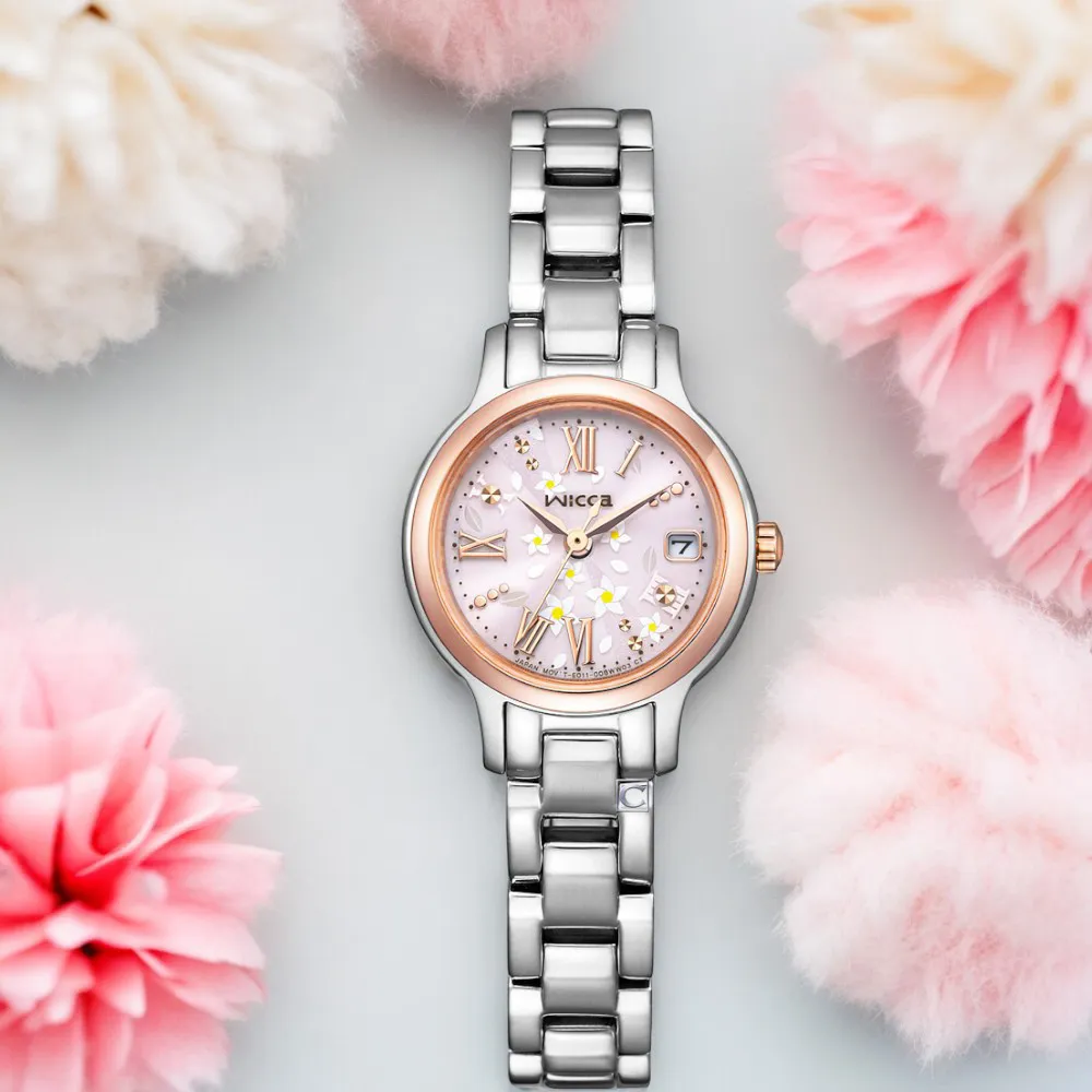 CITIZEN星辰 首席男爵夜光石英腕錶(BF2009-11A) 歷史價格詳細信息