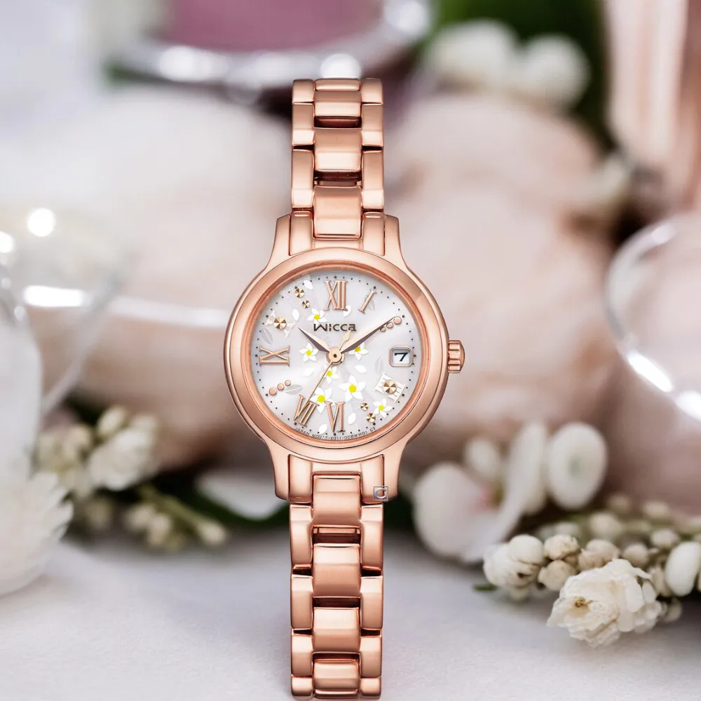 CITIZEN星辰 首席男爵夜光石英腕錶(BF2009-11A) 歷史價格詳細信息