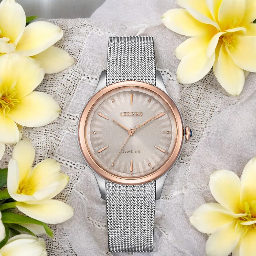 CITIZEN 星辰錶 L 系列 簡約優雅光動能腕錶-28mm EM0928-84D 歷史價格詳細信息