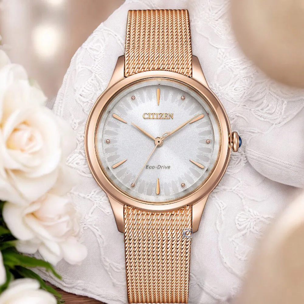 CITIZEN 星辰錶 L 系列 簡約優雅光動能腕錶-28mm EM0928-84D 歷史價格詳細信息