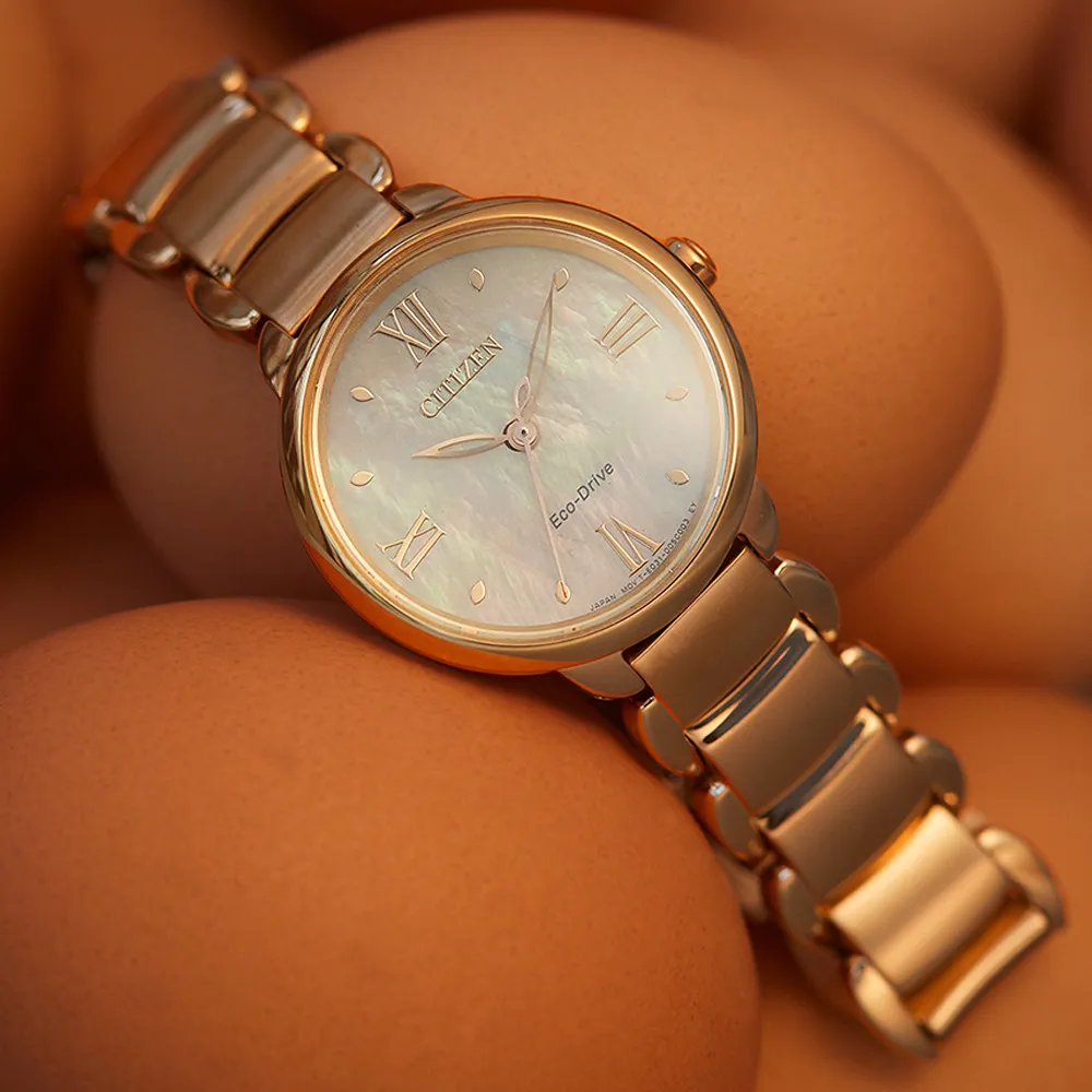 CITIZEN 星辰錶 L 系列 簡約優雅光動能腕錶-28mm EM0928-84D 歷史價格詳細信息