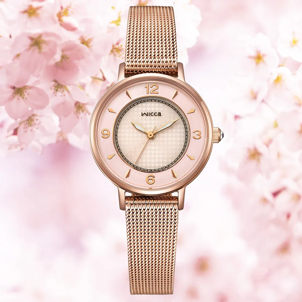 少年粉紅   【金石堂】 歷史價格詳細信息