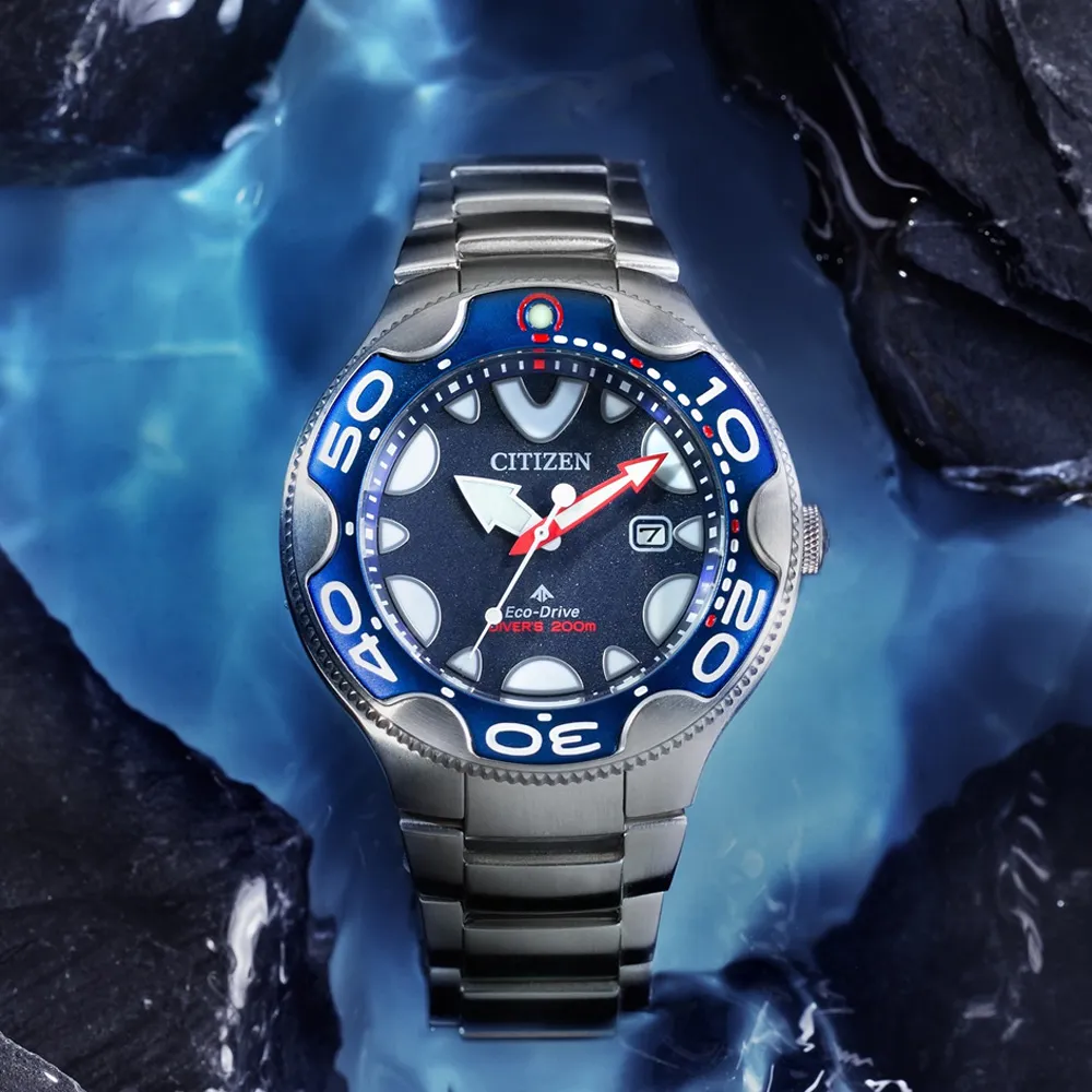 潛鯨 4mm QQ繩 雙頭 潛水失手繩 快卸扣 內是鋼絲彈簧 相機繩 潛水相機失手繩 水肺 水攝 潛水 GoPro 歷史價格詳細信息