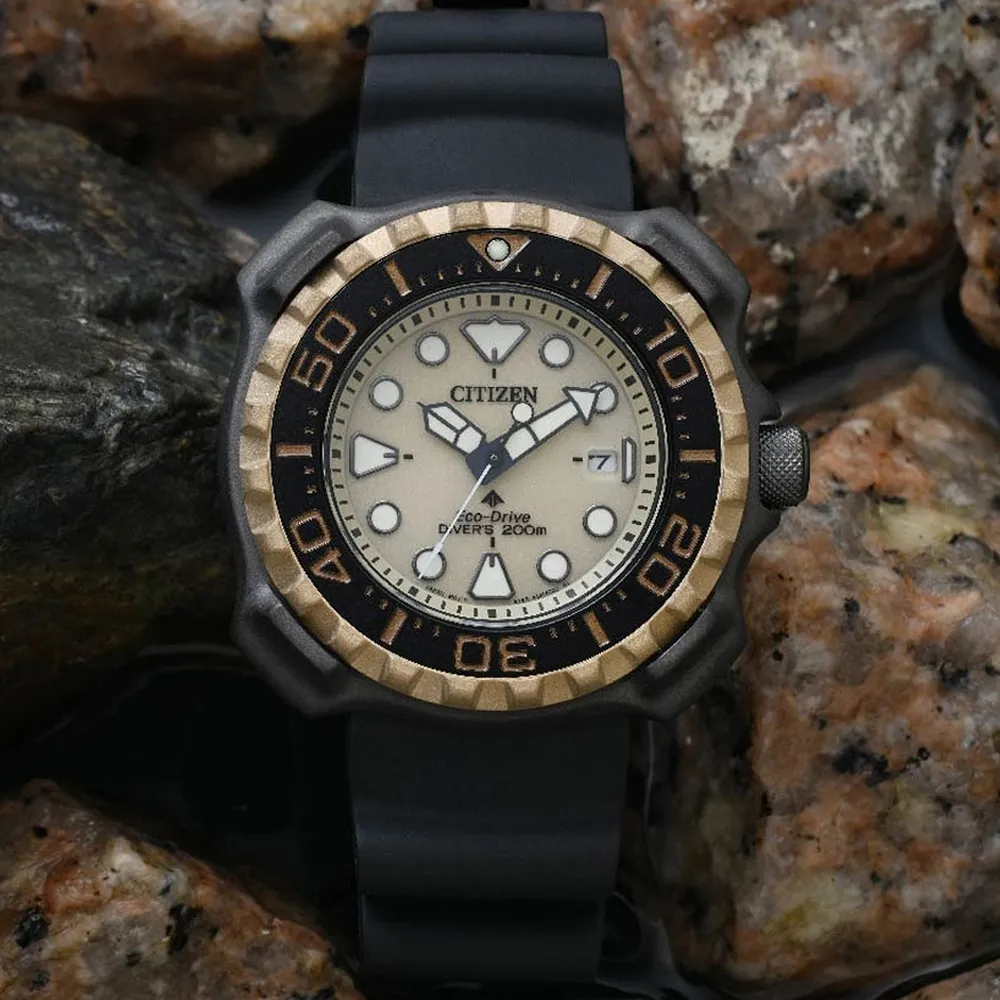 CITIZEN 星辰 PROMASTER 光動能 鈦金屬防水200米潛水錶-黑45.8mm(BN0220-16E) 歷史價格詳細信息